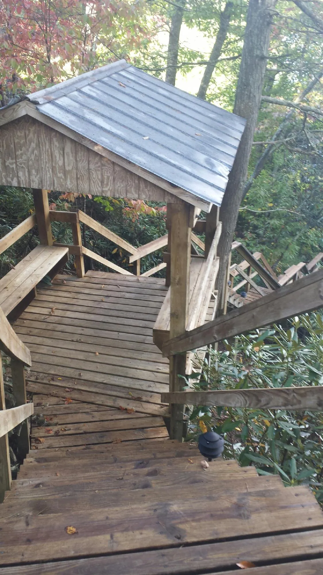 Metal roofed shelter over wooden steps on a wooded walkway — Skylight Repair & Installation work by our crew in Sodus Point